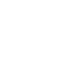 feature-item-4