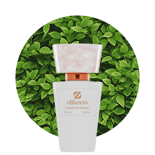 Parfum Femme Élégant 70ml - Livraison Rapide Europe